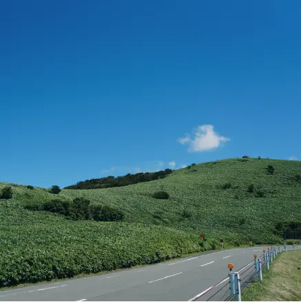緑の丘陵地帯が広がる景色を映した写真。道路が丘のふもとを通り、青空に白い雲が浮かんでいる。