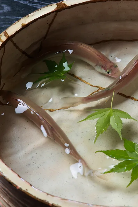 水の中を泳ぐ3匹の淡い色の細長い魚と、数枚の青いもみじの葉。